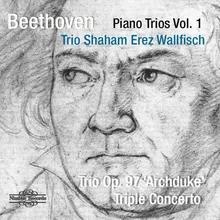 Triple Concerto, Op. 56: I. Allegro