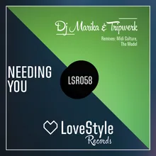 Needing You-The Model (EU) Remix