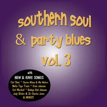 Before You Grab This Tiger by the Tail (Southern Soul Blues Version)