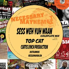 Sess Weh Yuh Want (feat. Top Cat)