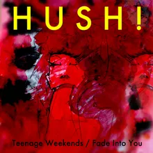 Teenage Weekends (Radio Edit)