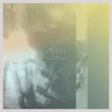 In the Long Grass-Tobias Hellkvist Remix