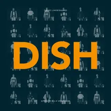 Dish-Dub Mix