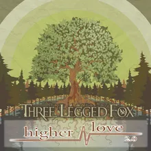 Higher Love 2.0-Alternate Mix