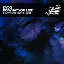 Do What You Like-Extended Mix