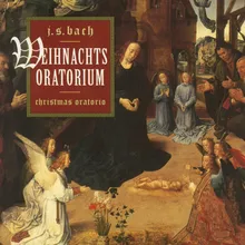 Christmas Oratorio, BWV 248 Part 1 - For the First Day of Christmas: No.3 Recitative (Alto) - "Nun wird mein liebster Bräutigam"