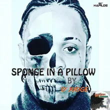 Sponge in a Pillow