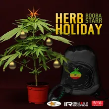 Herb Holiday-Radio Edit