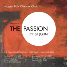 The Passion of St John: About The Same Time