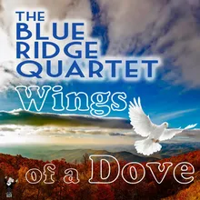 Wings of a Dove