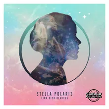 The City-The Stella Polaris Allstars Dub Remix