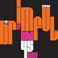 Brimful of Asha (Avenue Strings Mix)