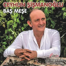 Baş Meşe