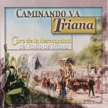 Caminando Va Triana-Canción Rumba