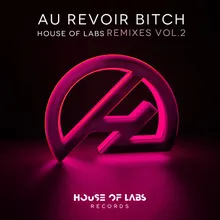 Au Revoir Bitch-Johnny Bass Remix