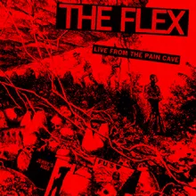 The Flex
