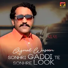 Sonhri Gaddi Te Sonhre Look