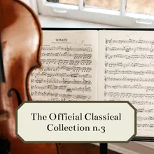 Sinfonia N.40 Sol Min K550 - Finale (Allegro Assai): Molto Allegro