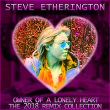 Owner of a Lonely Heart-Sk18 Untethered Mix