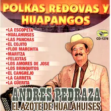 Hualahuises