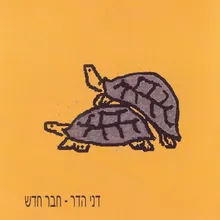 חבר חדש