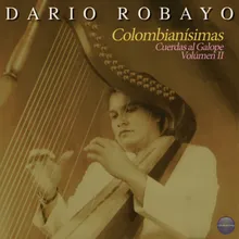 Pajarillo Robayero-Joropo