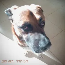 רגע שם