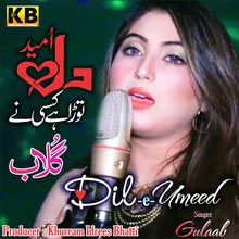 Dil-e-Umeed
