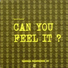 Can You Feel It-Lion I Mix