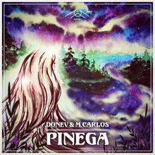Pinega (feat. Terya)-Steffen Ki Revision