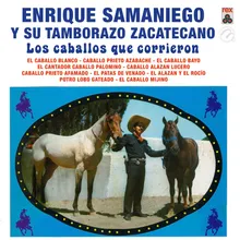 Caballo Palomino