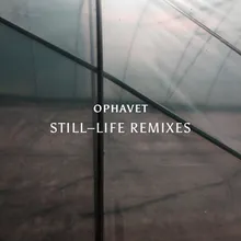 Ophavet-Still-Life Ambient Remix