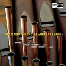 Concerto Suite für Violine, Violoncello und Orgel, Op. 149: II. Thema mit Veränderungen, (Molto Adagio - Andante - Tempo I)
