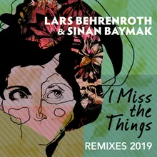 I Miss the Things-Michael Ashe Remix
