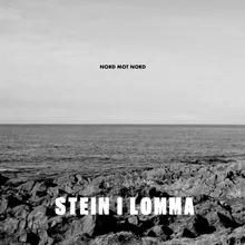 Stein i lomma