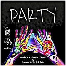 Party-Radio Edit