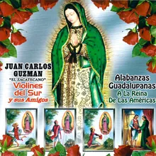 Mi Virgen Ranchera