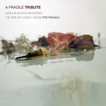 The Fragile