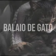 Balaio de Gato