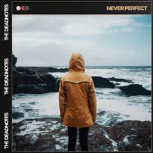 Never Perfect-Radio Edit