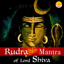 Rudra Mantra of Lord Shiva (Om Namo Bhagwate Rudraya)