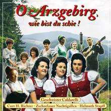 Grüß dich Gott, mei Arzgebirg (Traute Lieder hör ich wieder)