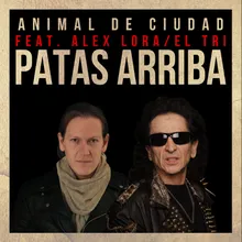 Patas Arriba