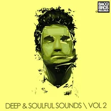 Love What You Feel-House Bros Soulful Dub