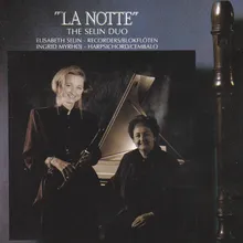 Concerto in D Minor, La Notte: I. Largo