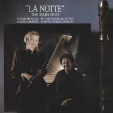 Concerto in D Minor, La Notte: IV "Il Sonno" Largo, "L'Aurora" Allegro