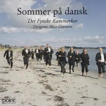 Danmark, nu blunder den lyse nat