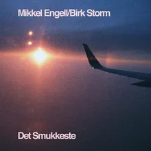 Det Smukkeste-Birk Storm Remix