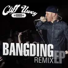 Bangding-Cheese Stank Remix