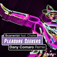 Pleasure Seekers-Dany Comaro Remix